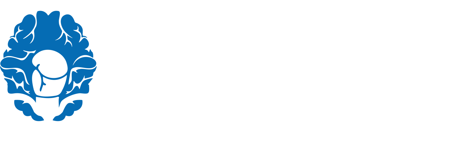 Logo vital impact photsh
